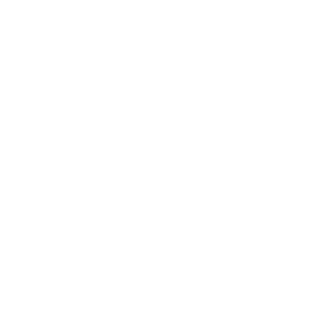 شركة بارسيان